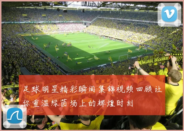 足球明星精彩瞬间集锦视频回顾让你重温绿茵场上的辉煌时刻