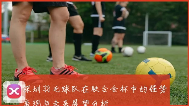 深圳羽毛球队在联合会杯中的强势表现与未来展望分析