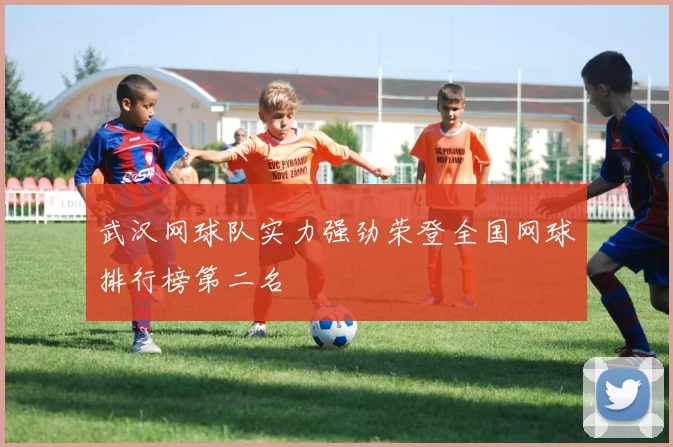武汉网球队实力强劲荣登全国网球排行榜第二名