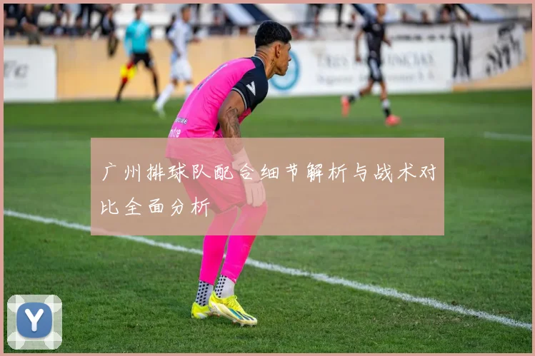 广州排球队配合细节解析与战术对比全面分析