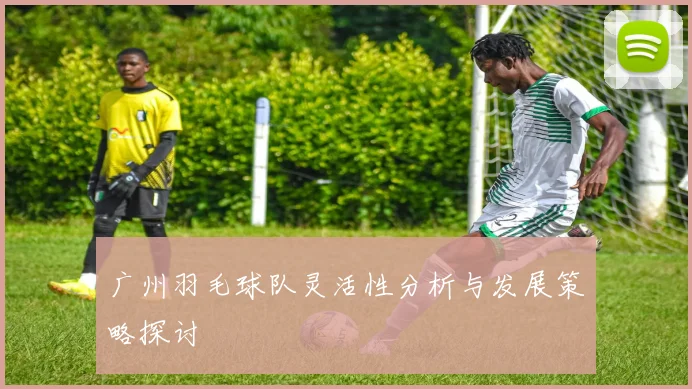 广州羽毛球队灵活性分析与发展策略探讨