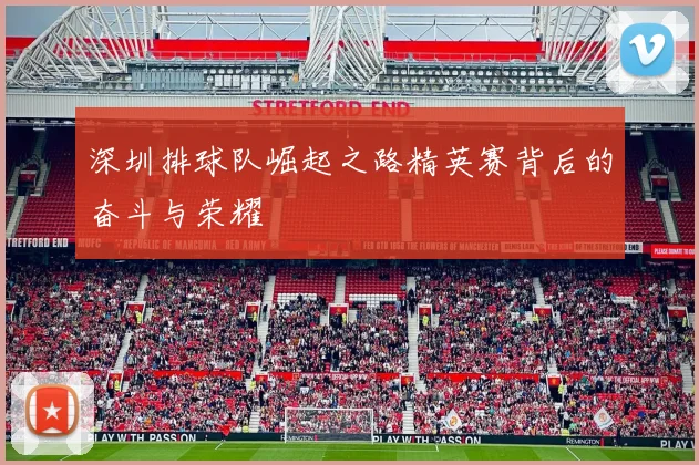 深圳排球队崛起之路精英赛背后的奋斗与荣耀