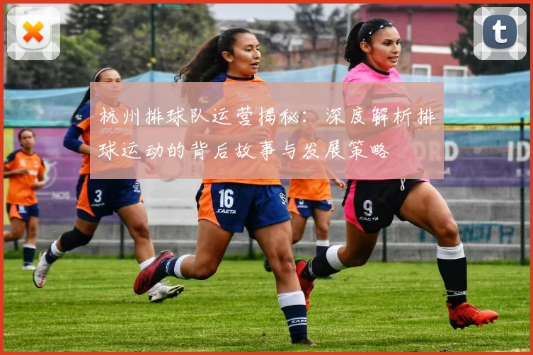 杭州排球队运营揭秘：深度解析排球运动的背后故事与发展策略