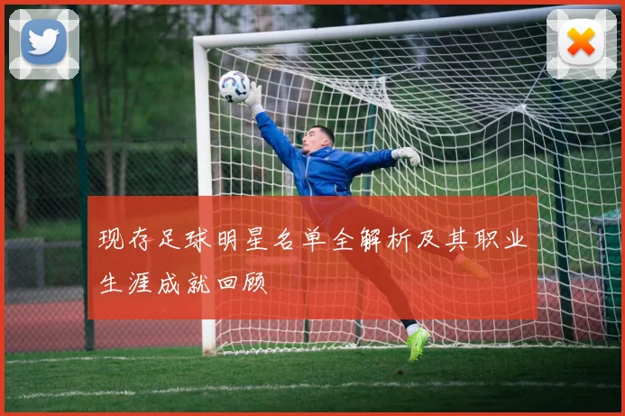 现存足球明星名单全解析及其职业生涯成就回顾