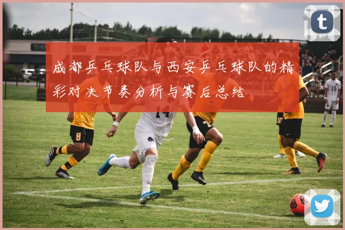 成都乒乓球队与西安乒乓球队的精彩对决节奏分析与赛后总结