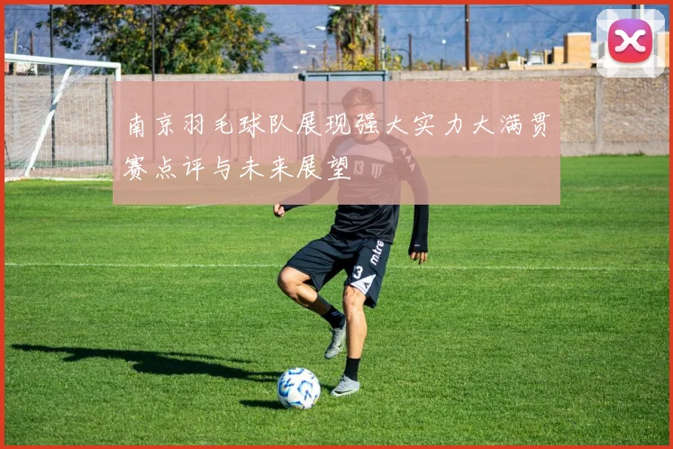 南京羽毛球队展现强大实力大满贯赛点评与未来展望
