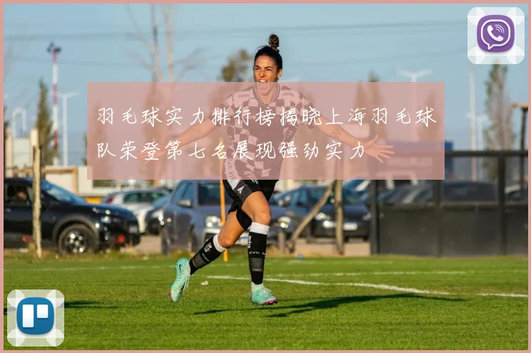 羽毛球实力排行榜揭晓上海羽毛球队荣登第七名展现强劲实力