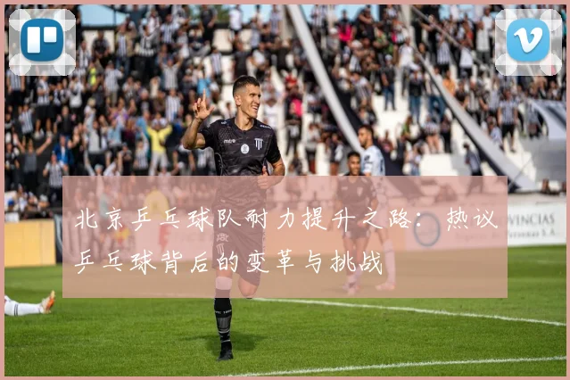 北京乒乓球队耐力提升之路：热议乒乓球背后的变革与挑战