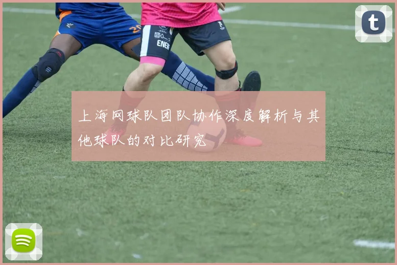 上海网球队团队协作深度解析与其他球队的对比研究