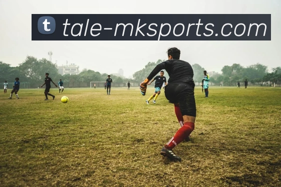 代言飞利浦的足球明星们如何在赛场上展现品牌魅力与运动精神